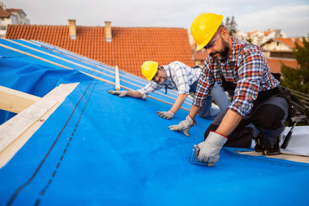 Best Roof Waterproofing Services  in Hartford, MI