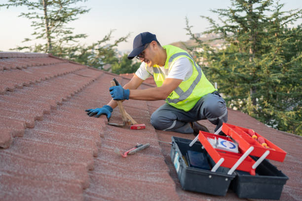 Best Metal Roofing Contractor  in Hartford, MI